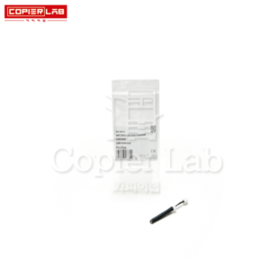 PICO FUSE 피코 퓨즈 (JAPAN)