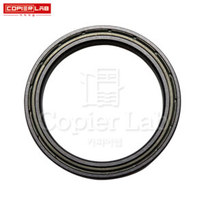 HEAT ROLLER BEARING 히트롤러 베어링